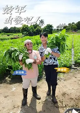 市集十二时观察综艺条目封面